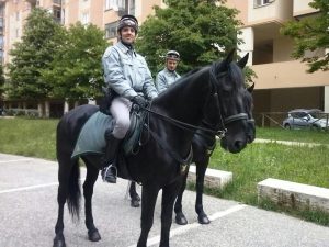 cavalli corpo forestale